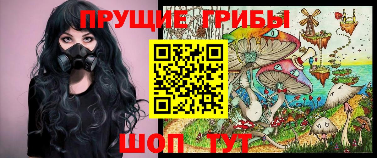 Галлюциногенные грибы мухоморы Саратов