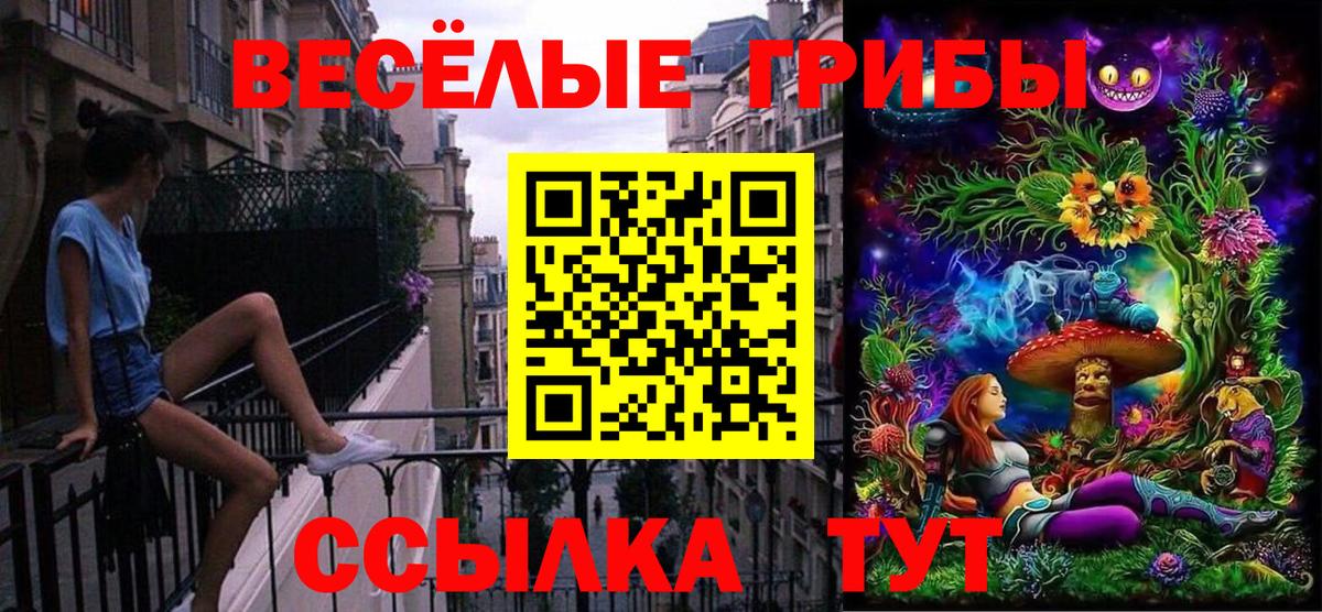 Саратов  Псилоцибиновые грибы мицелий  Галлюциногенные грибы прущие грибы  Вход с VPN 